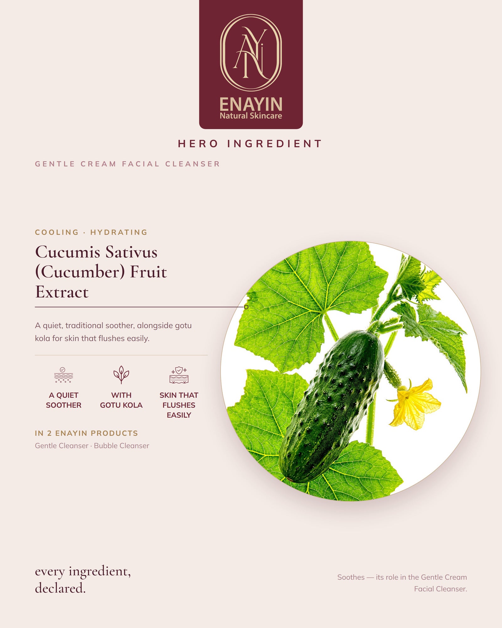 Gentle Cream Facial Cleanser